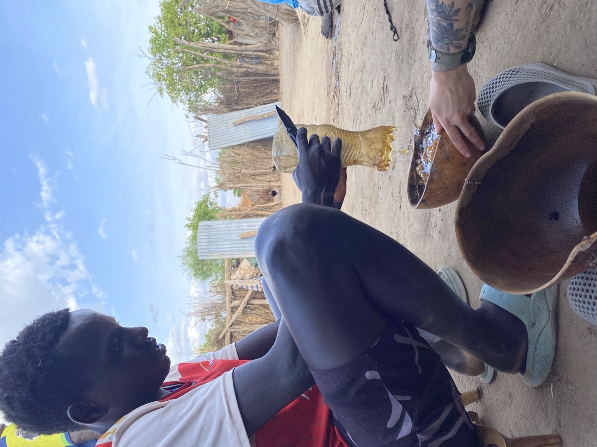 Kwegu