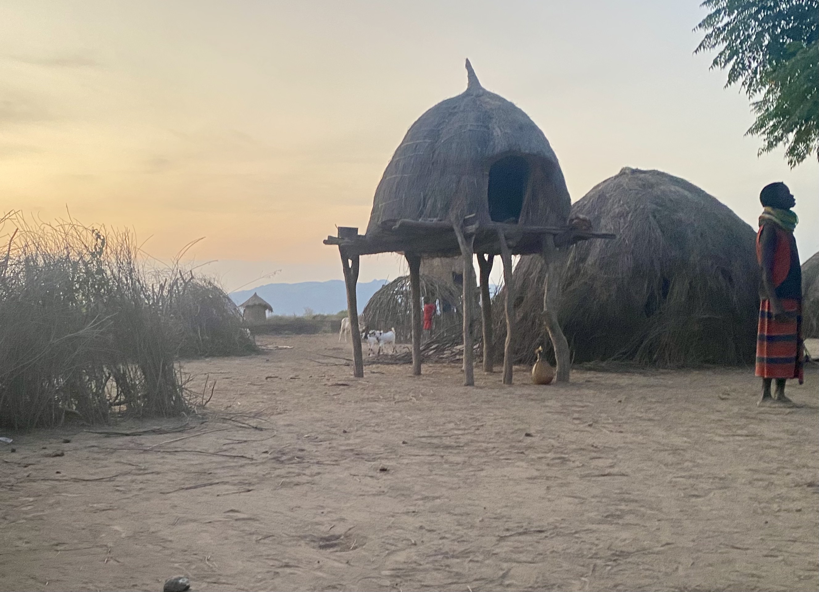 Nyangatom